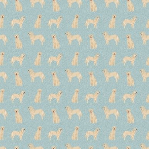 TINY -  golden retriever pet fabric, dog fabric, quilt b coordinate - light blue