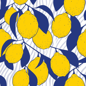 Details of Modern Lemons