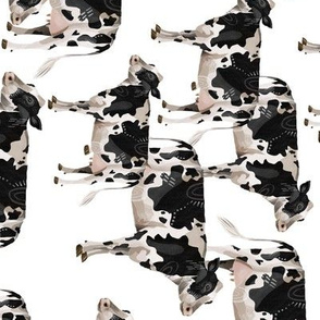 Cows Cows Cows - Rotated
