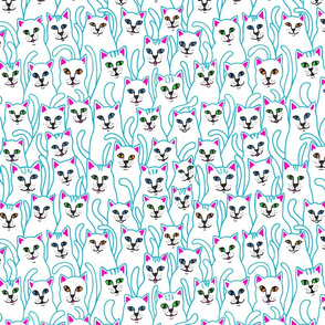 kitten kaboodle-blue outline-small