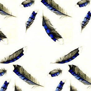 Watercolor Blue Jay Feathers