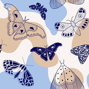 moths and butterflies