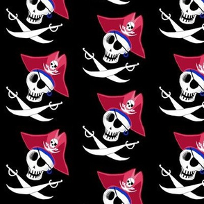 pirate skull, small scale, black and white, red, blue