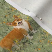 Pembroke Welsh Corgi in Wildflower Field