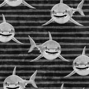 Sharks on black stripes  - great white sharks - LAD19