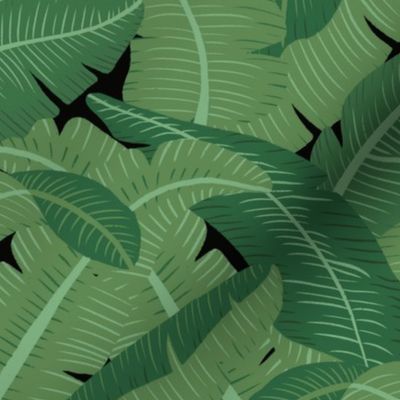 Banana Leaves - Bg Black