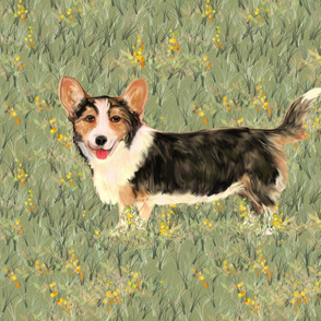 Cardigan Welsh Corgi in Wildflower Field for Pillow