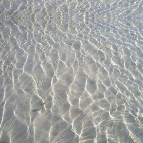 Water. Waves. Ocean