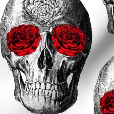 Grinning Skull With Roses For Eyes