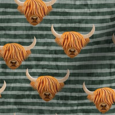 Highland cattle - highlander cow -  green on stripes - LAD19