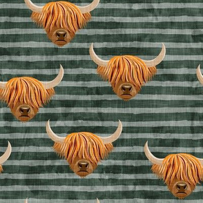 Highland cattle - highlander cow -  green on stripes - LAD19