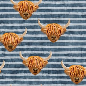 Highland cattle - highlander cow -  blue on stripes - LAD19