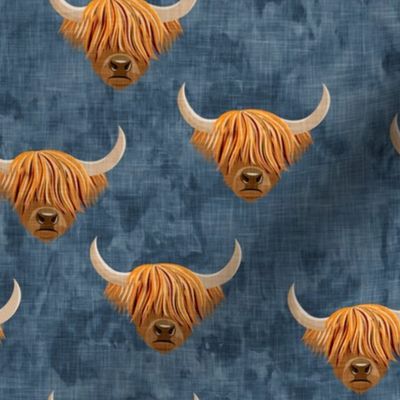 Highland cattle - highlander cow -  blue - LAD19