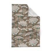 Latte Queen Annes Lace | Small