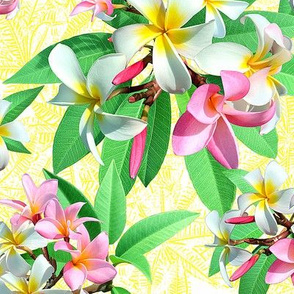 Plumeria Party on Yellow Leaves