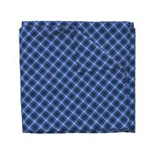 Custom Blue Apple Plaid