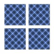 Custom Blue Apple Plaid