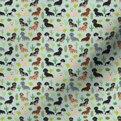 TINY - dachshund cactus fabric cute doxie dog design best doxie dogs fabric cute dachshunds
