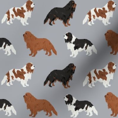 cavalier king charles spaniel cute dog pet dogs ruby black and tan, ruby dog fabric, blenheim dog fabric, - grey