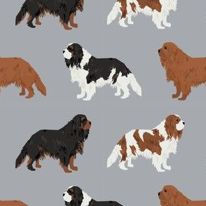 cavalier king charles spaniel cute dog pet dogs ruby black and tan, ruby dog fabric, blenheim dog fabric, - grey