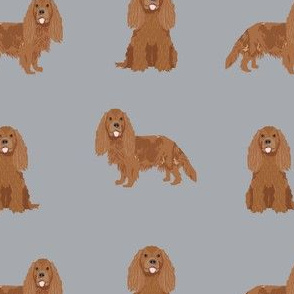 cavalier king charles spaniel cute dog pet dogs ruby black and tan, ruby dog cavalier dog fabric, - grey