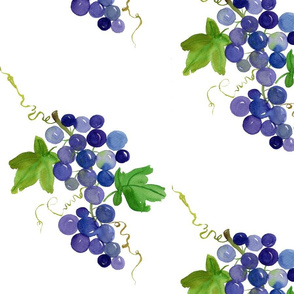 Purple Grapes