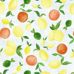 Watercolour Lemon and Orange Fruit 