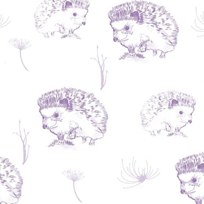 hedgehogs