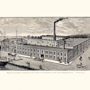 16-12   Parke, Davis & Co., Manufacturing Chemists-Manufacturing Establishment on the river at the foot of McDougall. 1873-80.