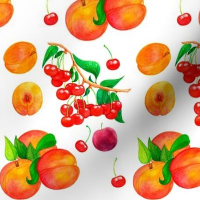 Peaches, Cherries, Apricots and Plums