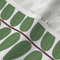 Hypericum Hidcote leaf stripe - white (Coordinate for Buttercups on a bush)