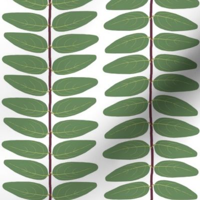 Hypericum Hidcote leaf stripe - white (Coordinate for Buttercups on a bush)