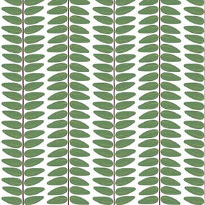 Hypericum Hidcote leaf stripe - white (Coordinate for Buttercups on a bush)