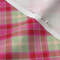 Cherry Pink and Mint Apple Plaid