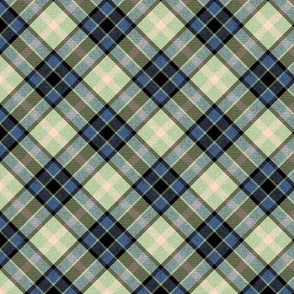 Colonial Blue and Mint Apple Plaid