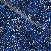 Whale Shark Skin Blue and White