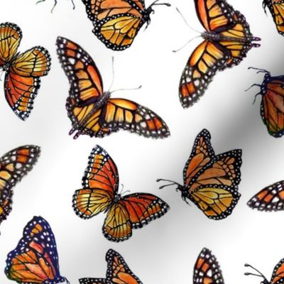Monarchs In Flutter