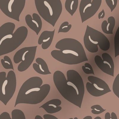 anthurium leopard print in grey brown