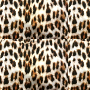 Leopard Print 