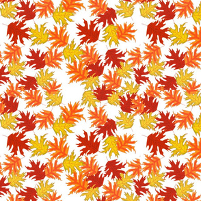 Autumn Leaves Multiple Offset White SF