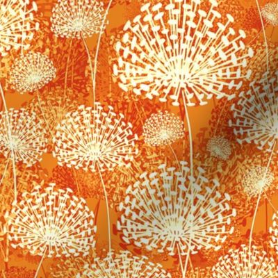 vintage orange dandelions50