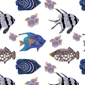 Blue fish pattern  on white background