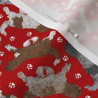 Tiny Trotting Schapendoes and paw prints - red
