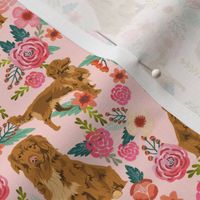 nova scotia floral dog fabric - duck tolling retriever dog fabric - dog florals fabric - pink