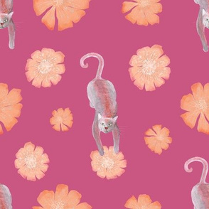 Cats and flowers - pink and orange theme