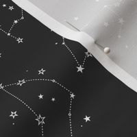 small - stars in the zodiac constellations in white on charcoal