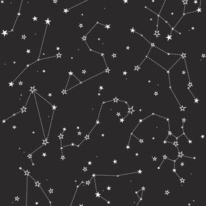 small - stars in the zodiac constellations in white on charcoal