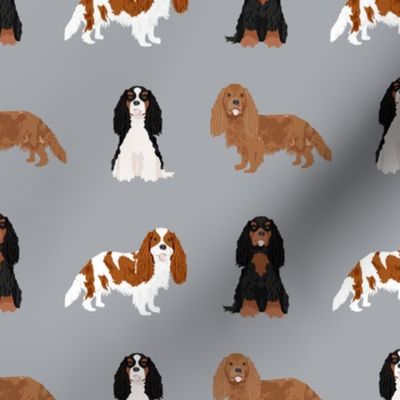 cavalier king charles spaniel dog fabric - mixed dog coats fabric, dog breeds fabric - grey