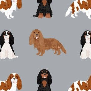 cavalier king charles spaniel dog fabric - mixed dog coats fabric, dog breeds fabric - grey