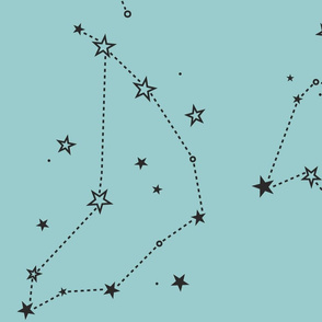 large - stars in the zodiac constellations in charcoal on mint